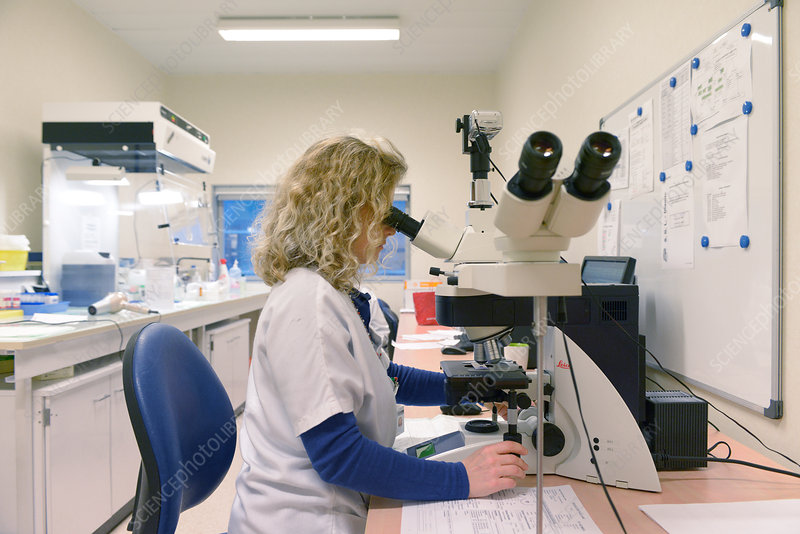 Cytology Lab
